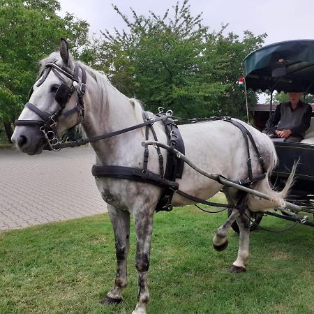 Vadaspuszta Vendeghaz Csatka Bagian luar foto