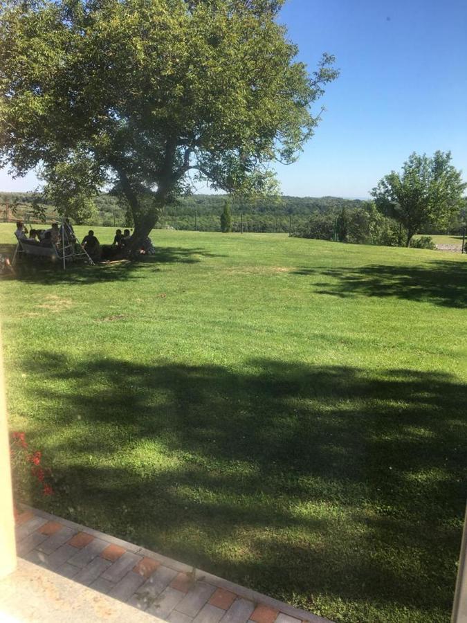 Vadaspuszta Vendeghaz Csatka Bagian luar foto