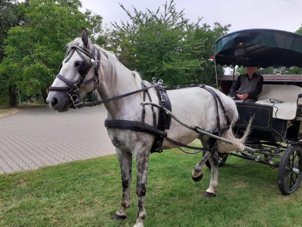 Vadaspuszta Vendeghaz Csatka Bagian luar foto