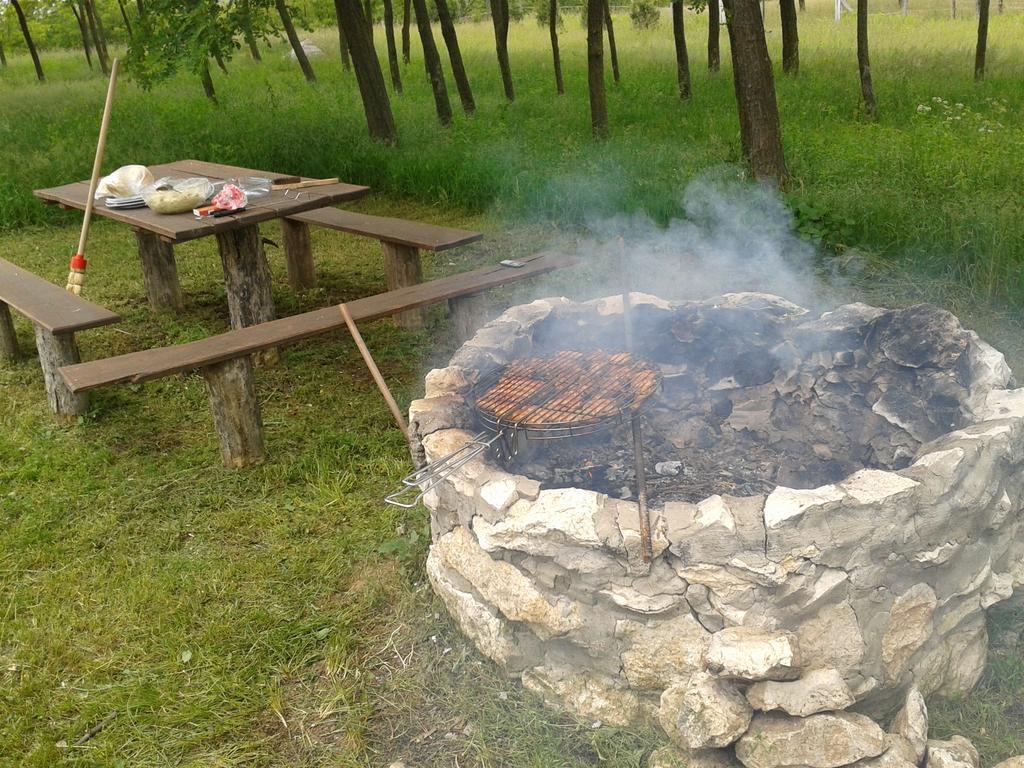 Vadaspuszta Vendeghaz Csatka Bagian luar foto